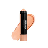 ARTIST COLOR CRAYON: CREAMY MULTI USE STICK