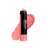 ARTIST COLOR CRAYON COLLECTION: CHEEKS & LIPS