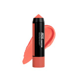 ARTIST COLOR CRAYON COLLECTION: CHEEKS & LIPS