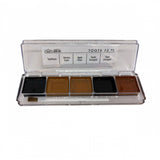 TOOTH PALETTE FX1 - ALCOHOL PALETTE X 5 COLOURS