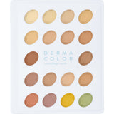 DERMACOLOR CAMOUFLAGE CREME MINI-PALETTE  18 COLOURS