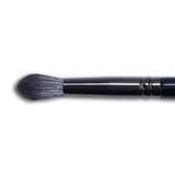 INFINITE BLACK MAKEUP BRUSH SET (11 PCS)