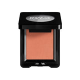 ARTIST EYESHADOW (MATTE) COMPACT