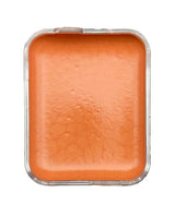 SKIN ILLUSTRATOR FLESH TONE REPLACEMENT CELLS