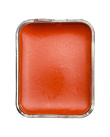 SKIN ILLUSTRATOR FX REPLACEMENT CELLS