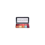 PPI Skin Illustrator Palette Complexion
