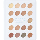 DERMACOLOR CAMOUFLAGE CREME MINI-PALETTE  18 COLOURS