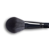 INFINITE BLACK MAKEUP BRUSH SET (11 PCS)