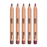 ARTIST COLOR PENCIL STELLAR SET: HOLIDAY 2025 COLLECTION