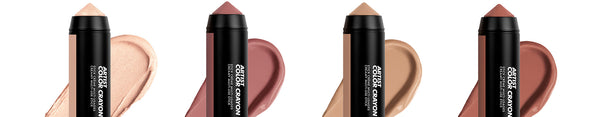 ARTIST COLOR CRAYON COLLECTION: STARTER MIX UP