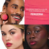 FLUSHED ESSENTIALS: BLUSH & LIP KIT