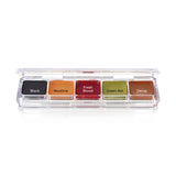 FX TOOTH PALETTE - 5 ALCOHOL ACTIVATED COLOURS