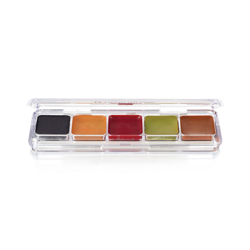 FX TOOTH PALETTE - 5 ALCOHOL ACTIVATED COLOURS