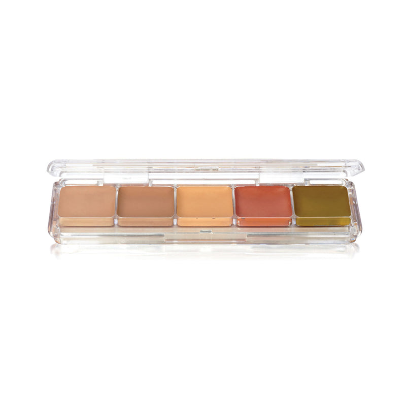 CONCEALER PALETTE - 5 ALCOHOL ACTIVATED COLOURS