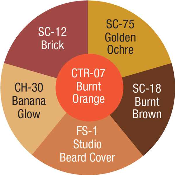 CORRECTOR/TATTOO COVER WHEEL (MOJAVE MEDIUM-DARK) x6