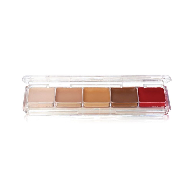 Ben Nye Tattoo Cover Palette 5 Alcohol-Activated Colours