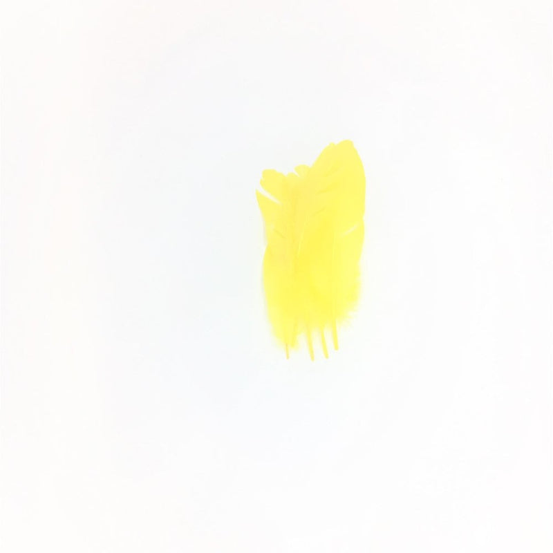 Guru Feathers Quill