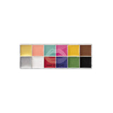 FLASH COLOR PALETTE - 12 FLASH COLOR CASE